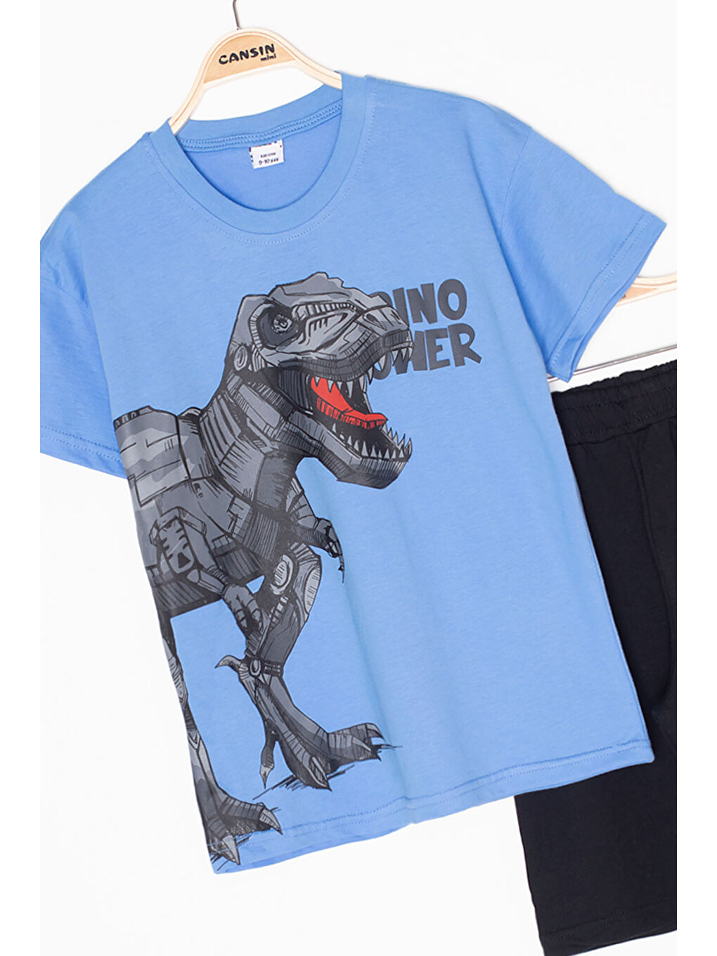 Mavi Dino Baskılı Yazılı Erkek Çocuk Şortlu Alt Üst Takım 20621-2