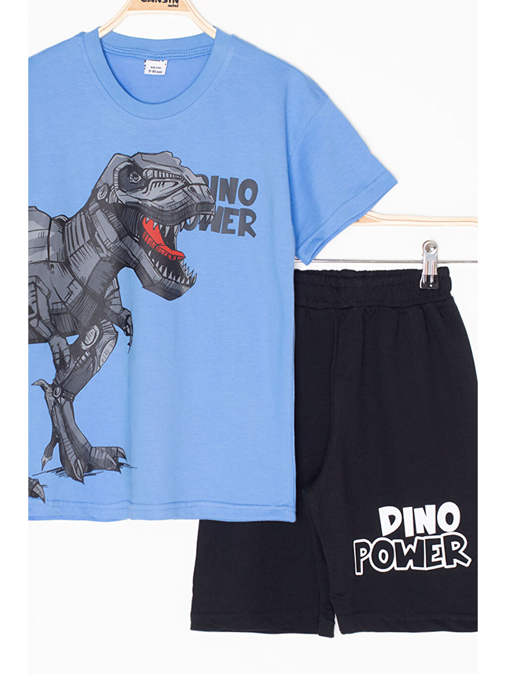 Mavi Dino Baskılı Yazılı Erkek Çocuk Şortlu Alt Üst Takım 20621-3