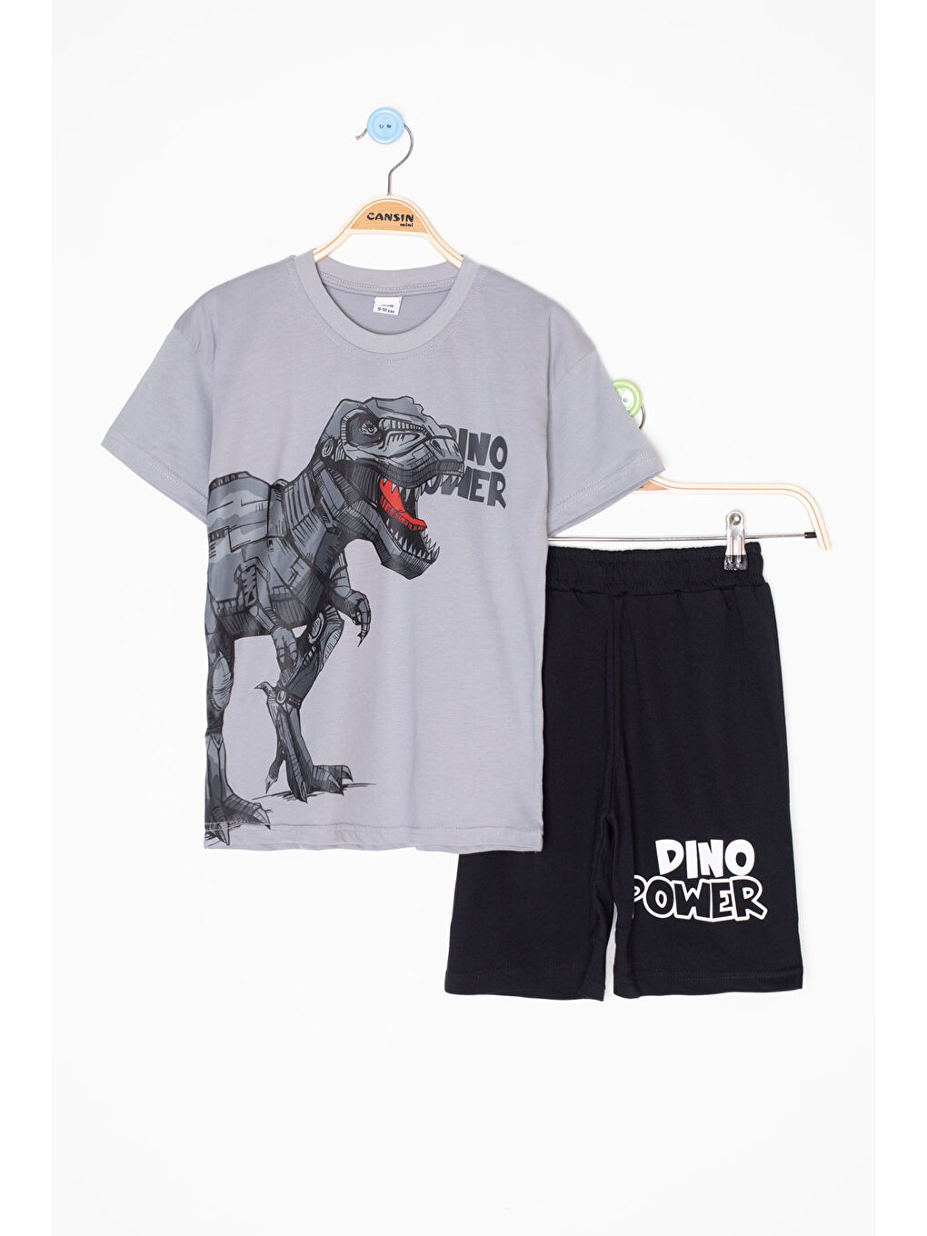 Gri Füme Dino Baskılı Yazılı Erkek Çocuk Şortlu Alt Üst Takım 20617