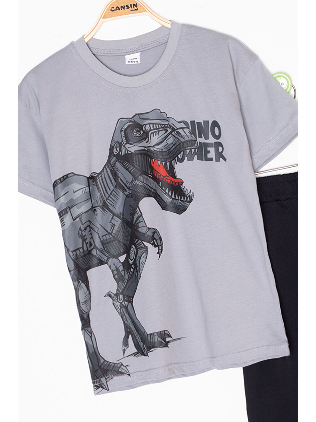Gri Füme Dino Baskılı Yazılı Erkek Çocuk Şortlu Alt Üst Takım 20617-2