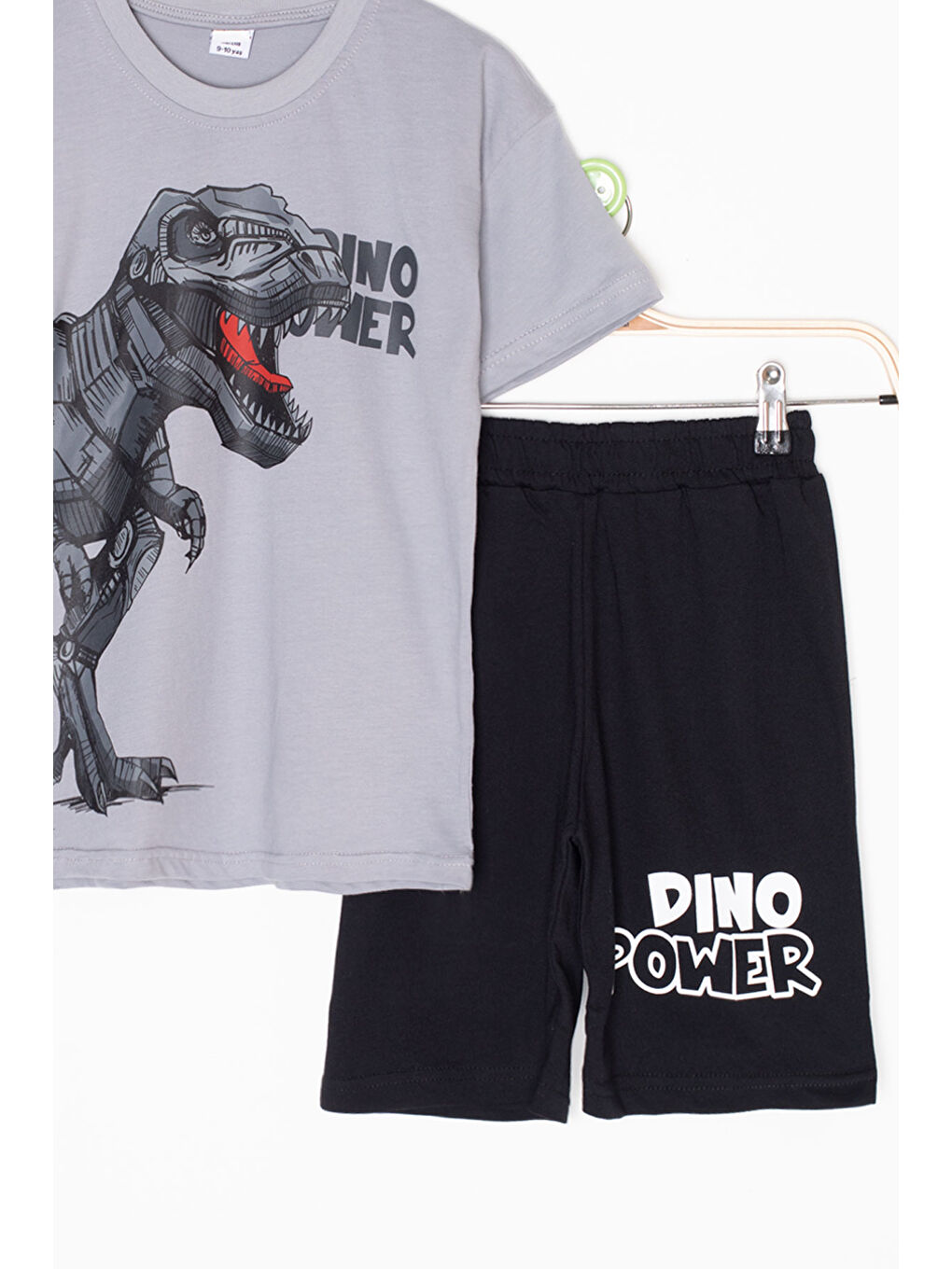 Gri Füme Dino Baskılı Yazılı Erkek Çocuk Şortlu Alt Üst Takım 20617-3