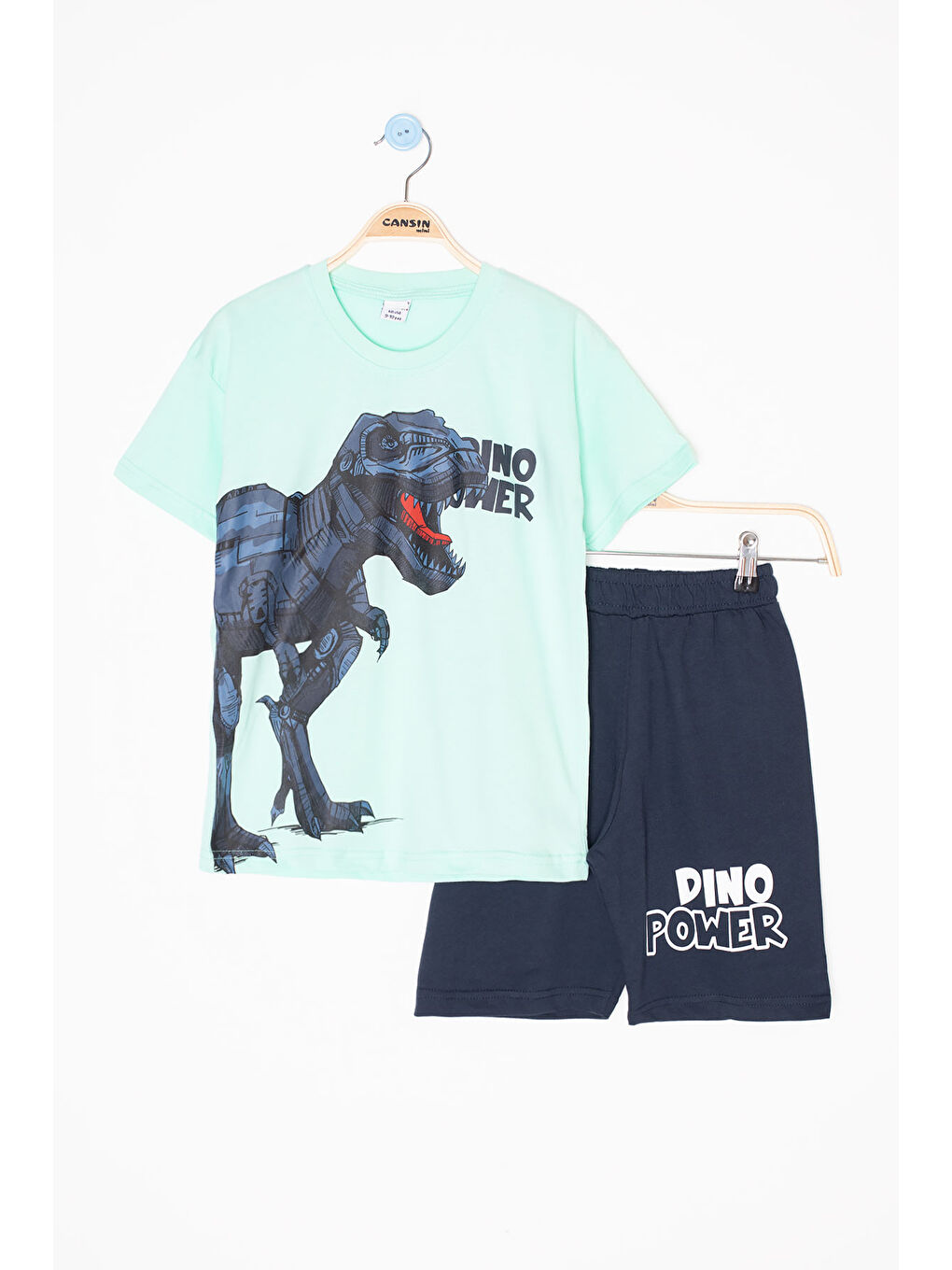 Yeşil Mint Dino Baskılı Yazılı Erkek Çocuk Şortlu Alt Üst Takım 20620