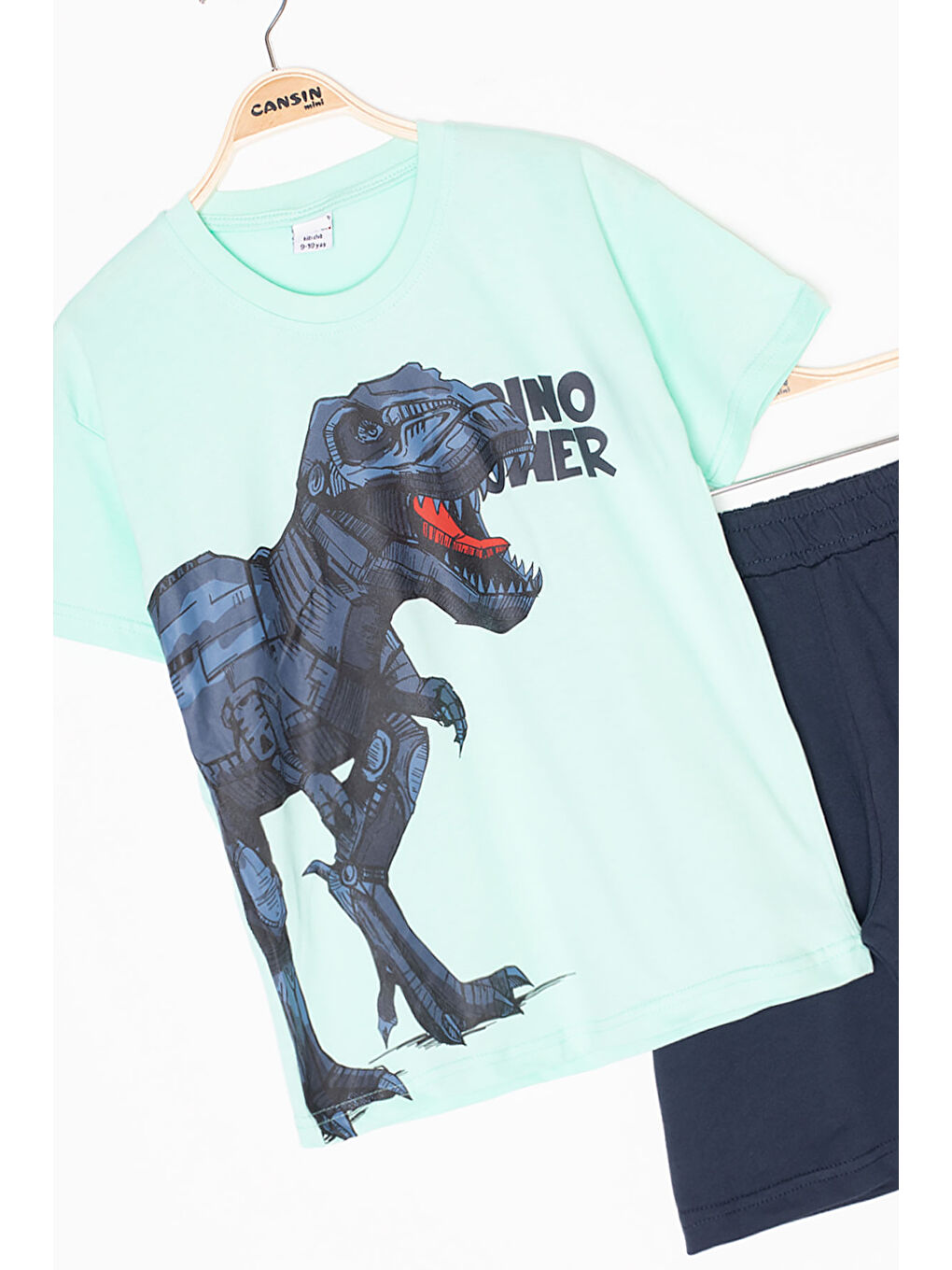 Yeşil Mint Dino Baskılı Yazılı Erkek Çocuk Şortlu Alt Üst Takım 20620-2