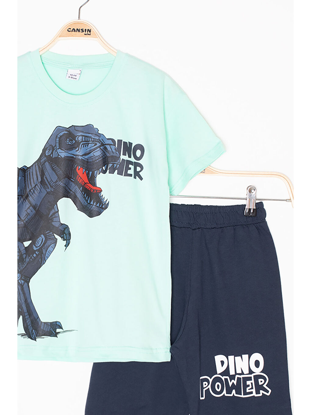 Yeşil Mint Dino Baskılı Yazılı Erkek Çocuk Şortlu Alt Üst Takım 20620-3