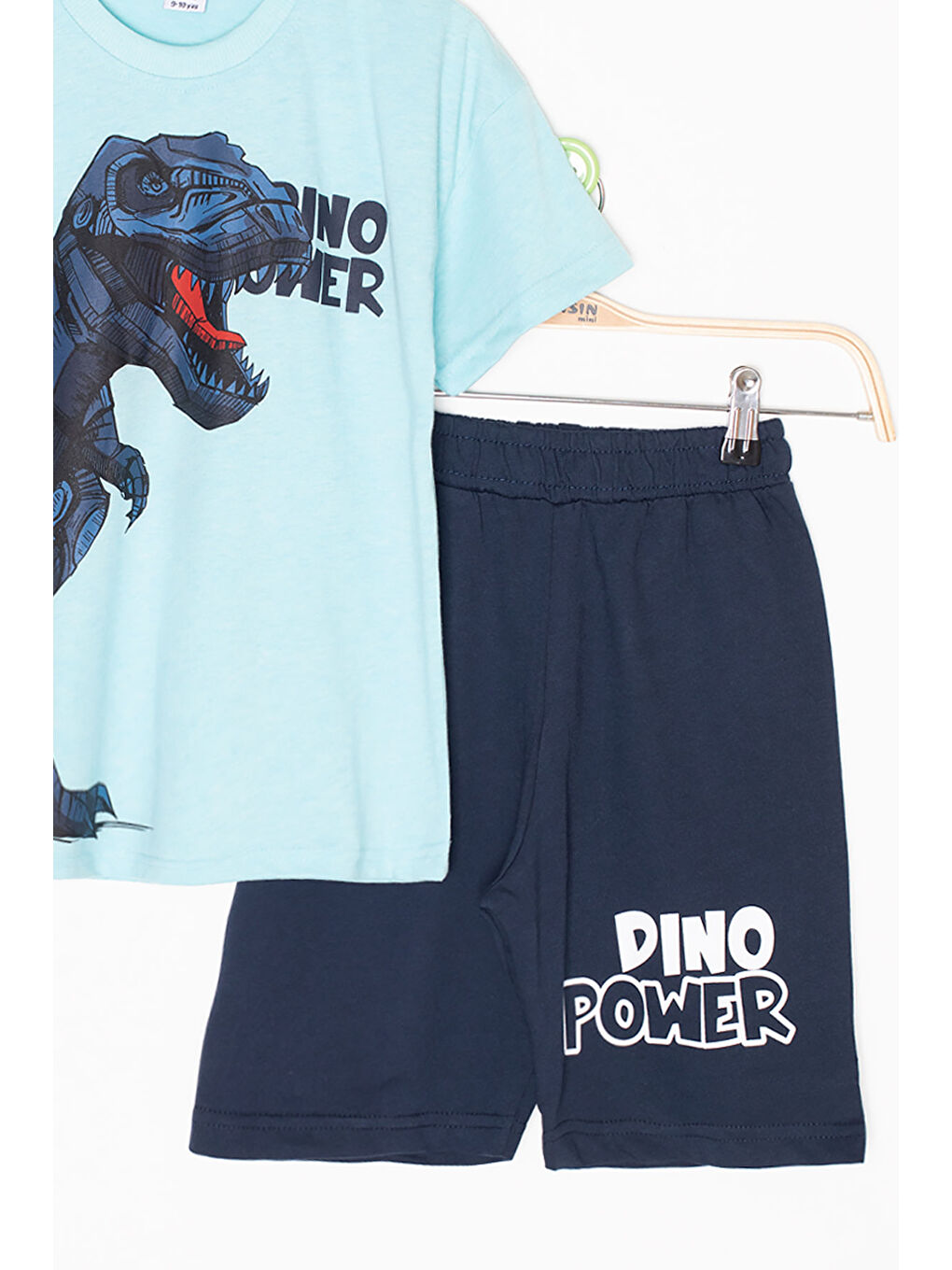 Turkuaz Dino Baskılı Yazılı Erkek Çocuk Şortlu Alt Üst Takım 20619-3