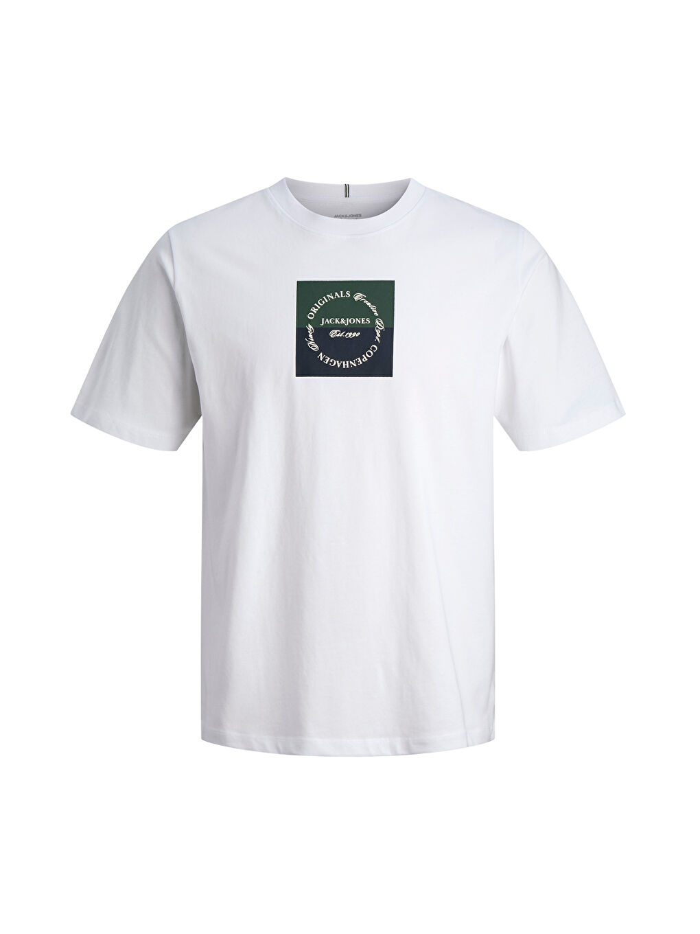 Beyaz Plus Büyük Beden Baskılı Regular Fit Bisiklet Yaka T Shirt 12298472