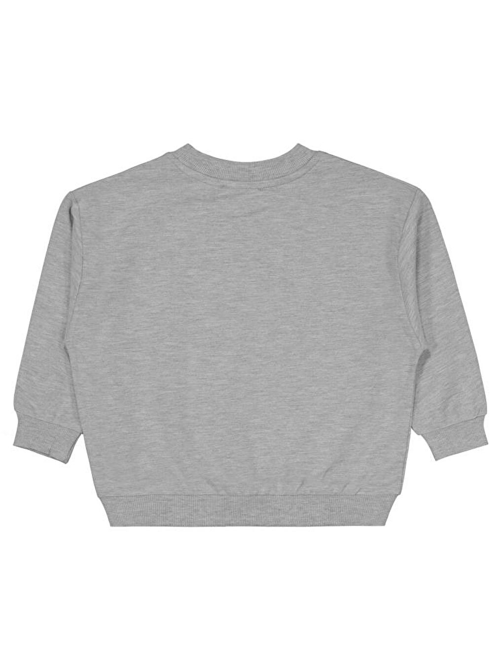 Boys Cvl Team Etiketli 2-5 Yaş Sweatshirt - Gri 3-4 Yaş-1