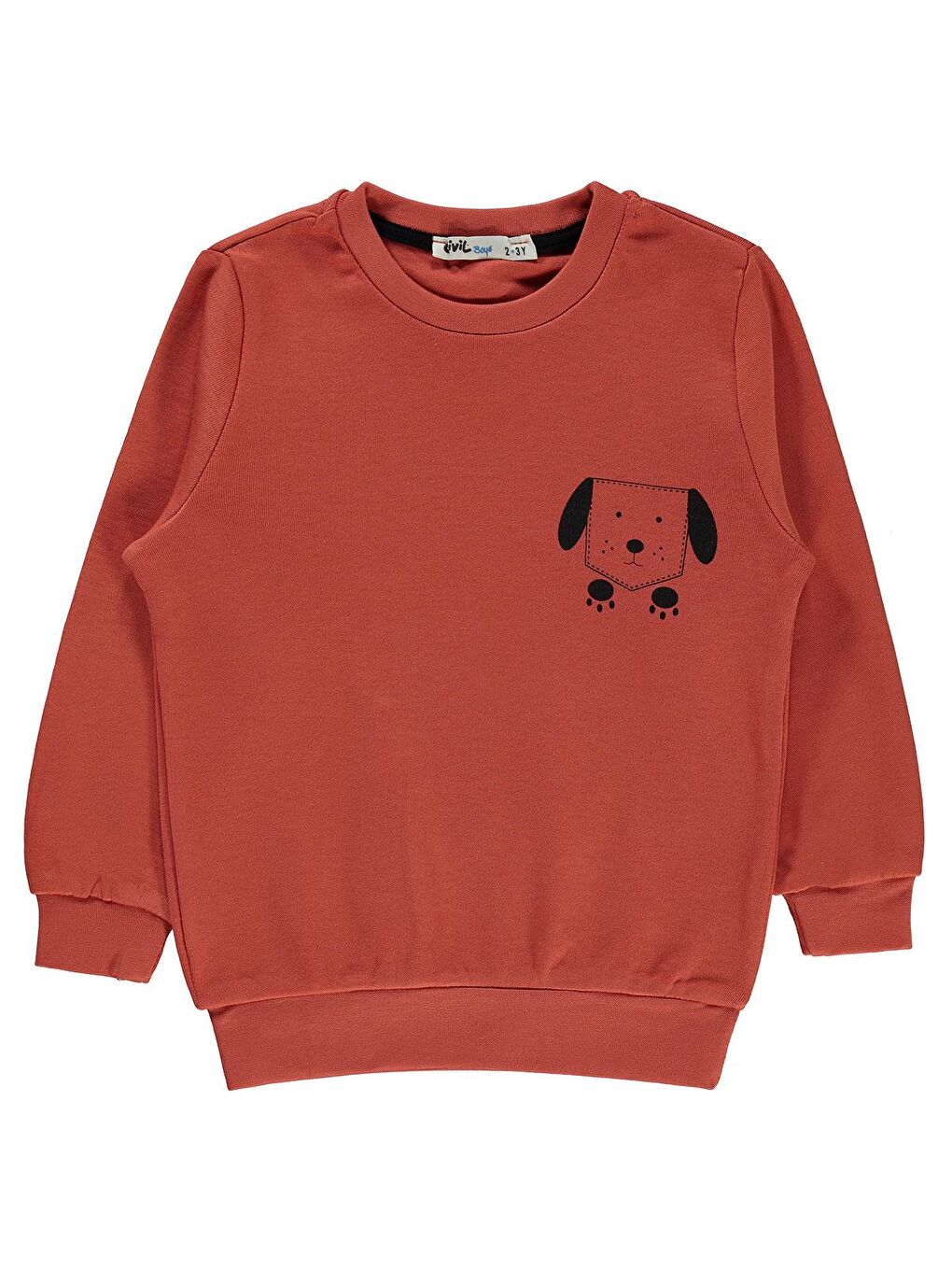 Kahverengi Boys Erkek Çocuk Sweatshirt 2-5 Yaş Kiremit