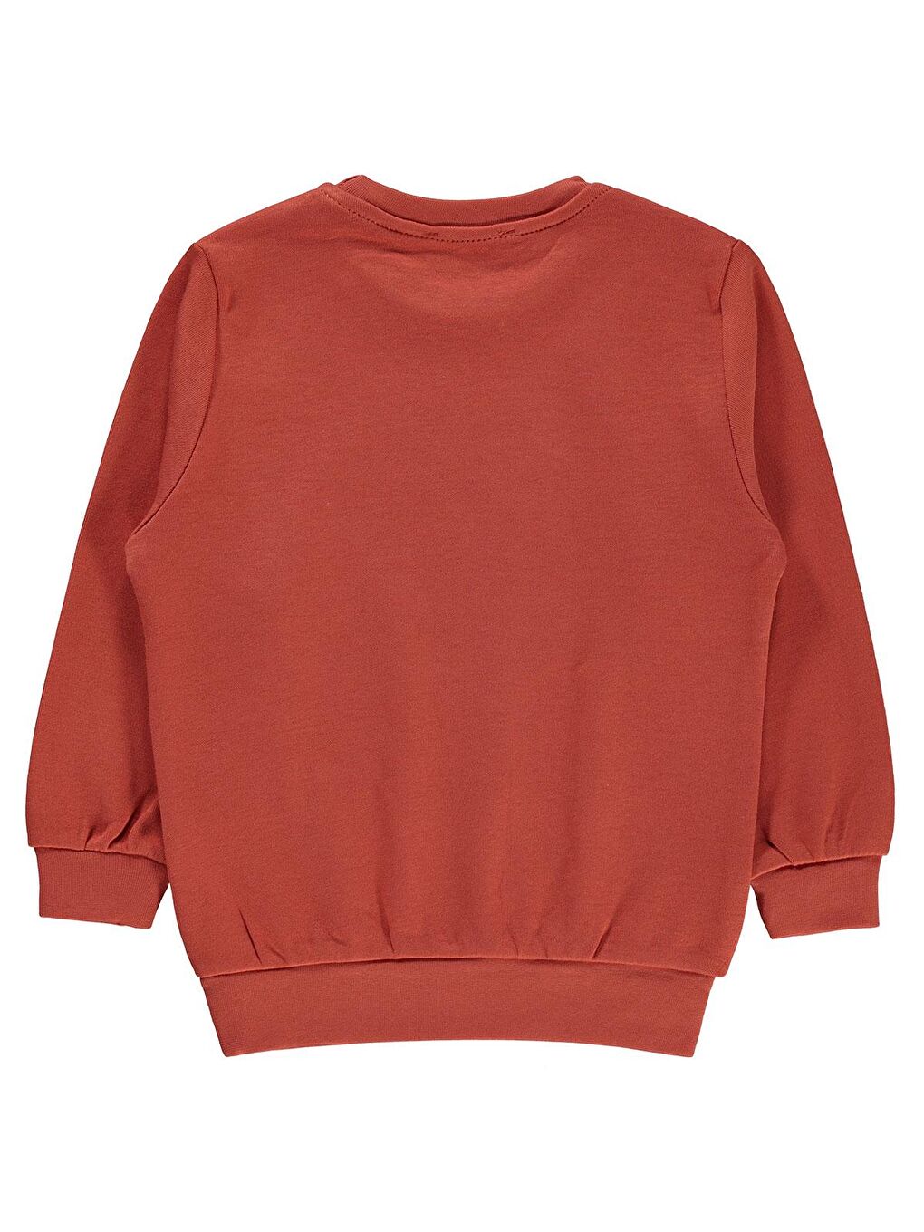 Kahverengi Boys Erkek Çocuk Sweatshirt 2-5 Yaş Kiremit-1