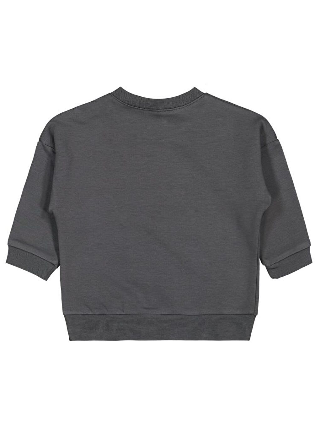 Gri Baby Teddy Baskılı 6-18 Ay Sweatshirt-1