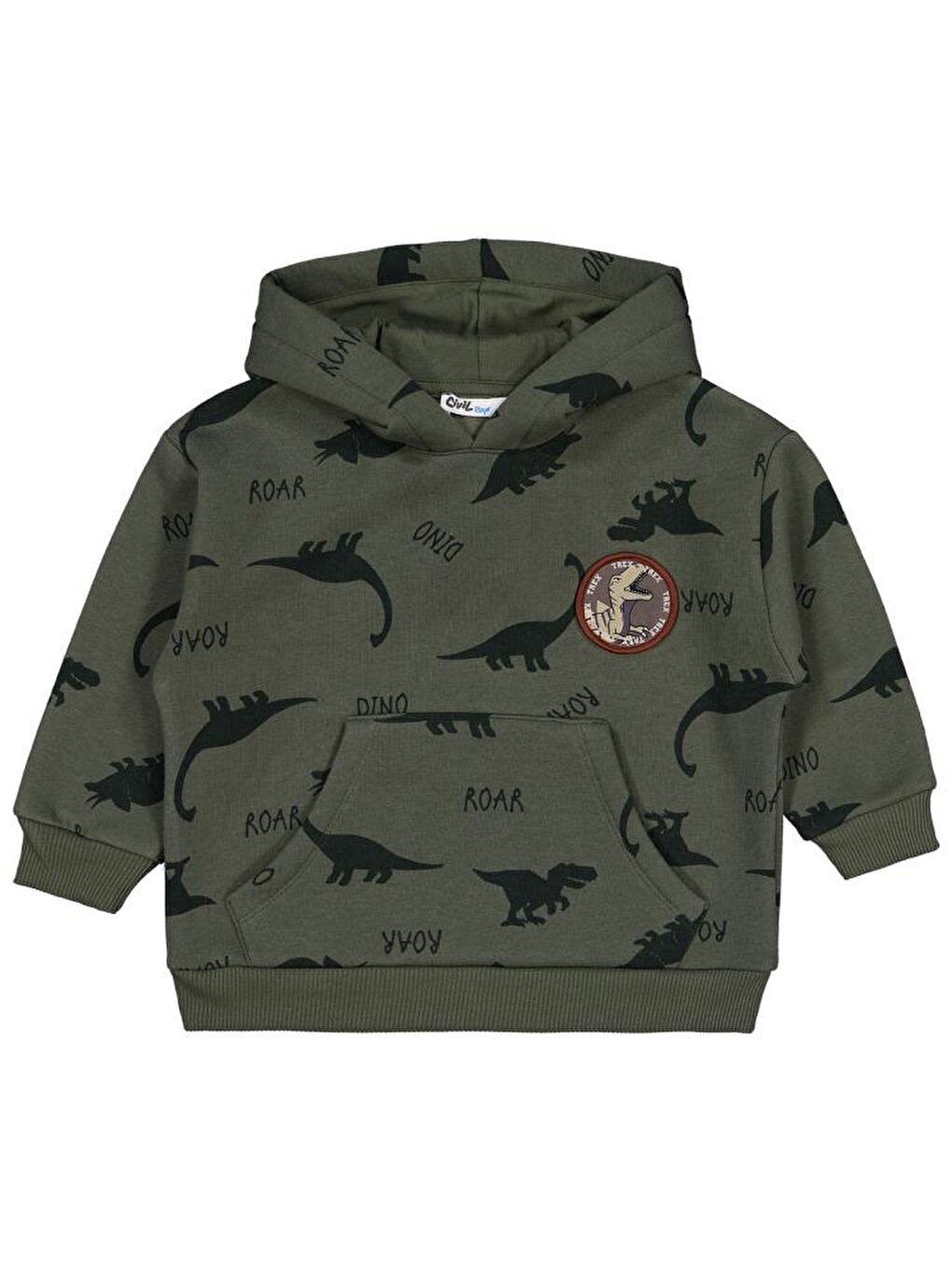 Haki Boys Dinozor Empirme 2-5 Yaş Sweatshirt