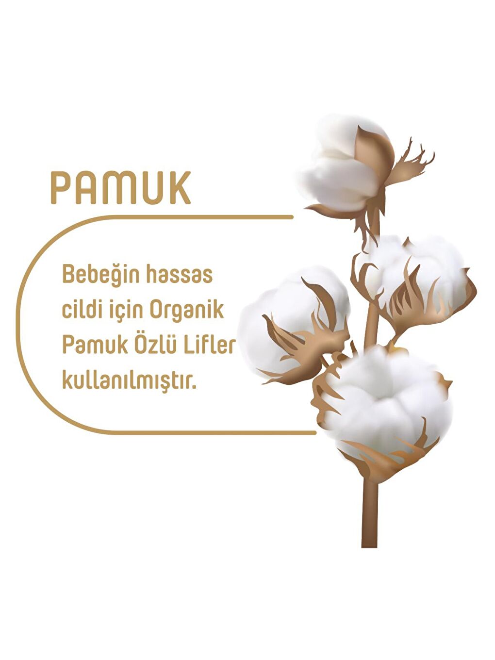 Pure Baby Baby Organik Pamuklu Cırtlı Bez Tekli Paket 4 Numara Maxi 52 Adet - 2