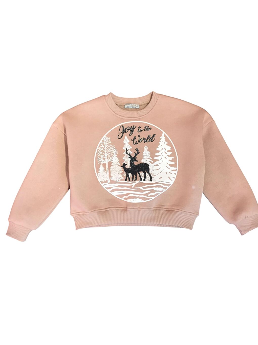 Little Star Bej Kız Çocuk Kış Temalı Sweatshirt