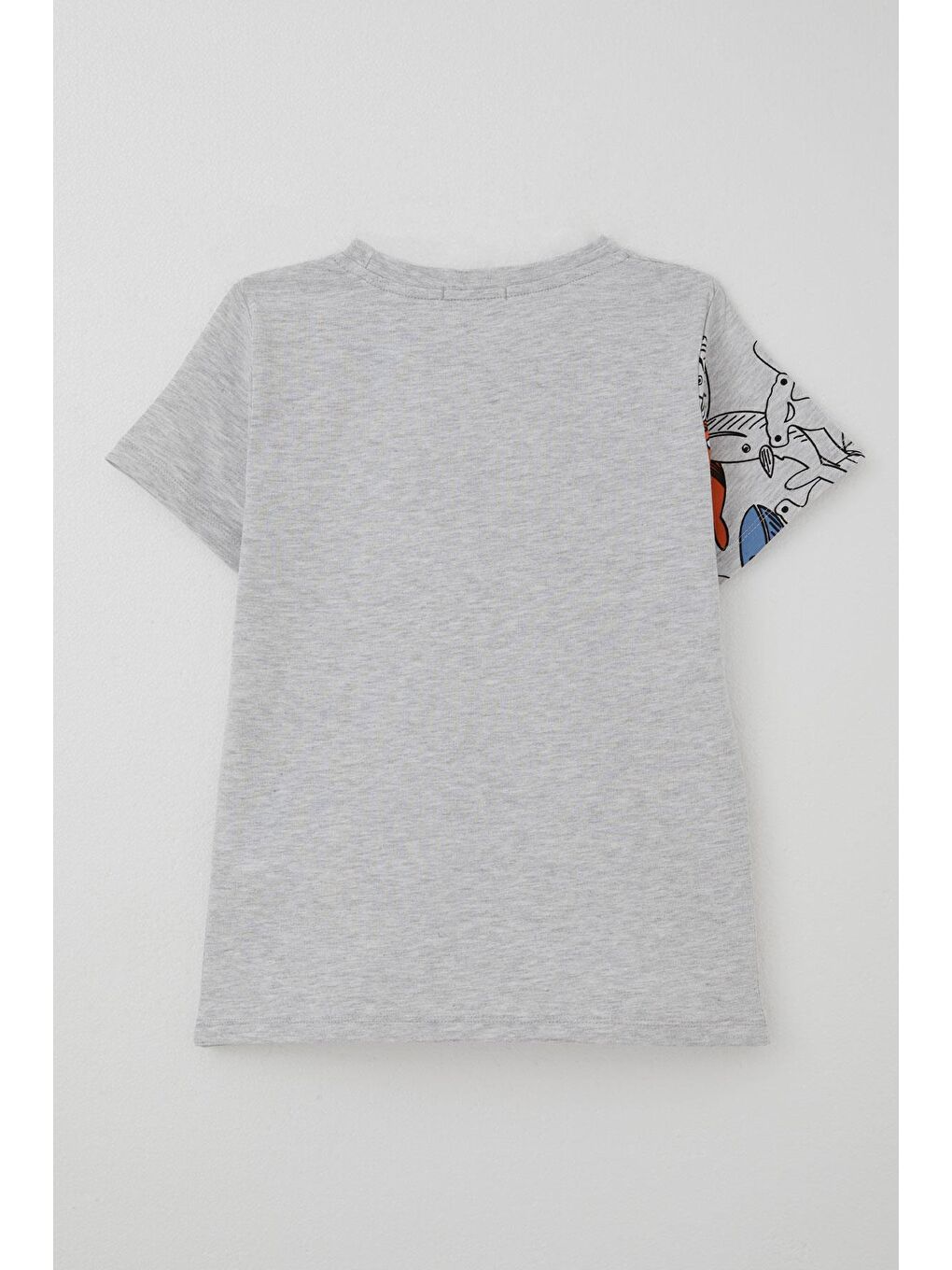 Erkek Çocuk Tişört Mavi Dünyanın Kahramanları Balinalar Açık Gri Melanj (5-9 Yaş)-1