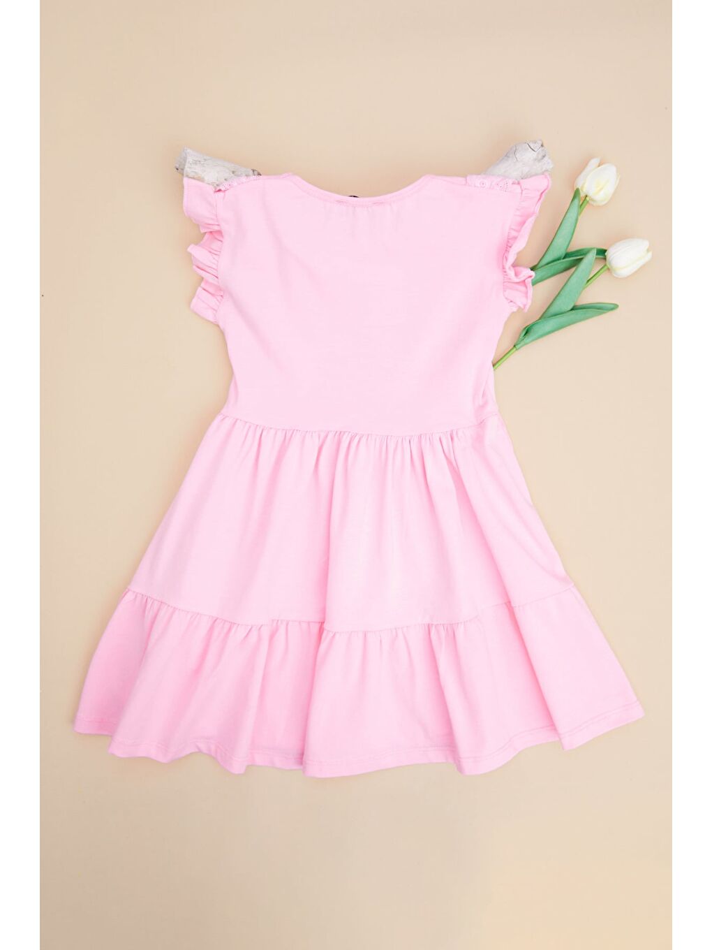 Pembe Brode Detaylı Kolu Fırfırlı Kız Çocuk Elbise-1