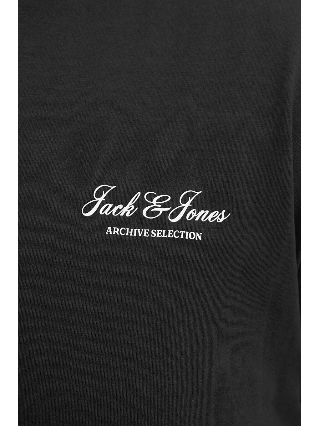 Siyah Plus Büyük Beden Pamuklu Regular Fit Bisiklet Yaka T Shirt 12289683-5