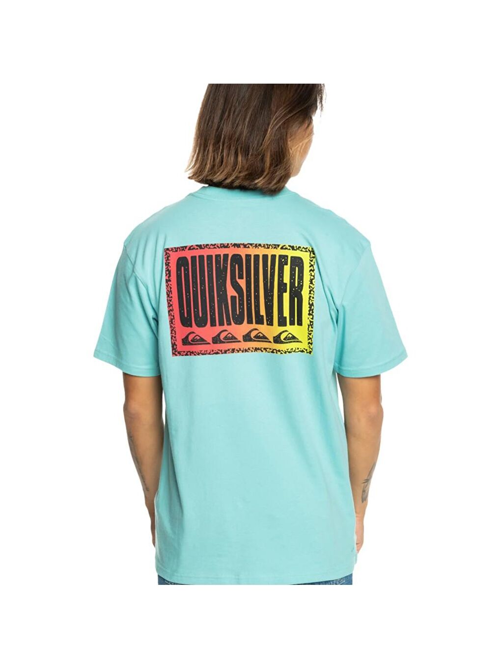 Quiksilver Mavi Bisiklet Yaka Kısa Kollu Baskılı Erkek Tişört - 2