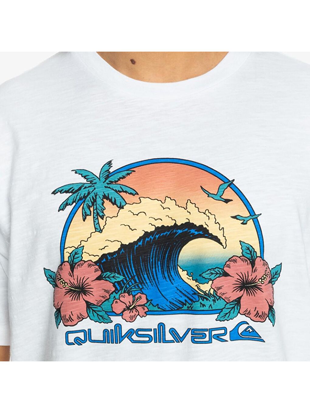 Quiksilver Beyaz Bisiklet Yaka Kısa Kollu Baskılı Erkek Tişört - 2