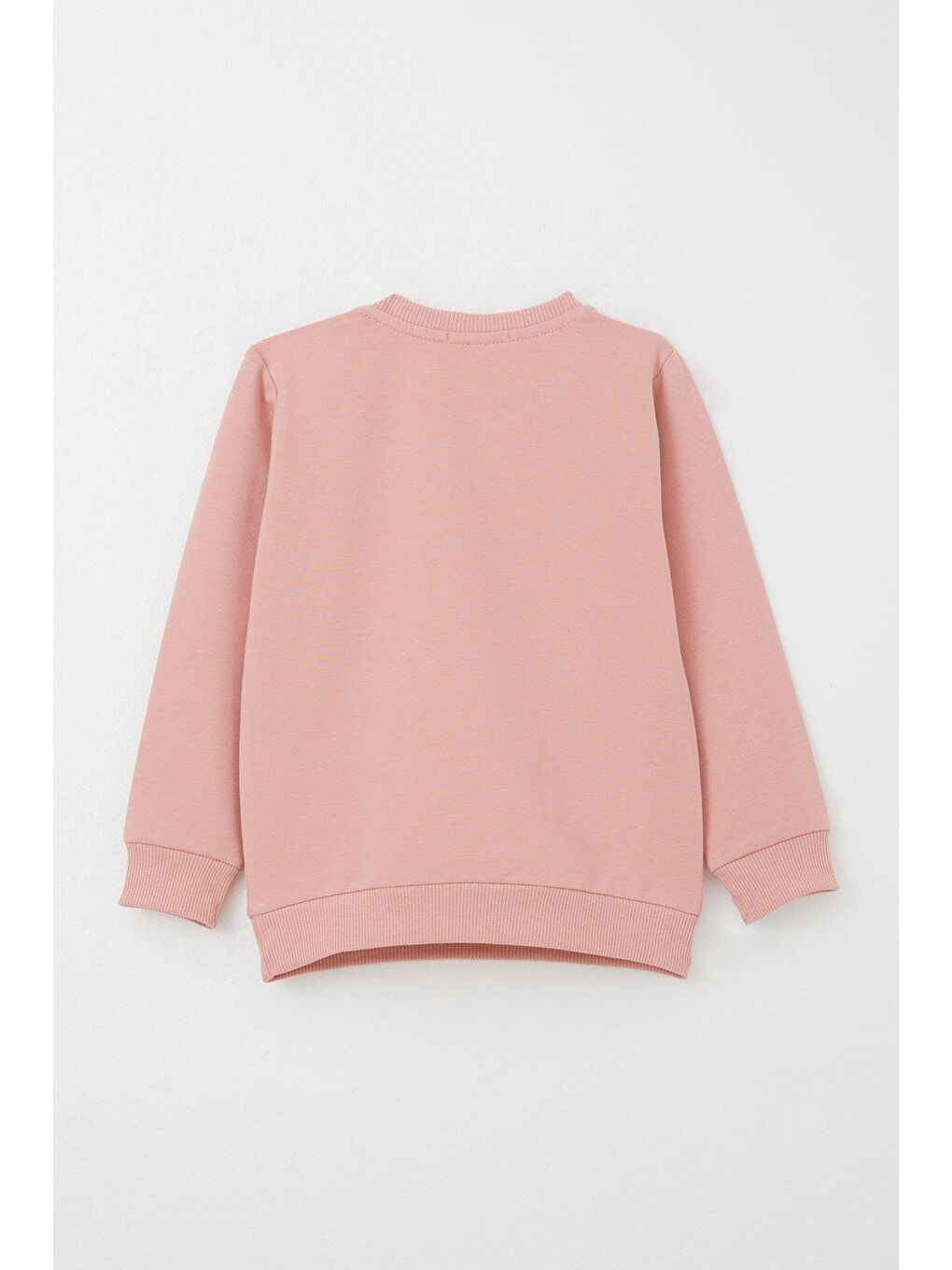 Pembe Kız Bebek Eşofman Takım Sevimli Ayıcık Nakışlı Çiçekli Gülkurusu (9 Ay-3 Yaş)-3