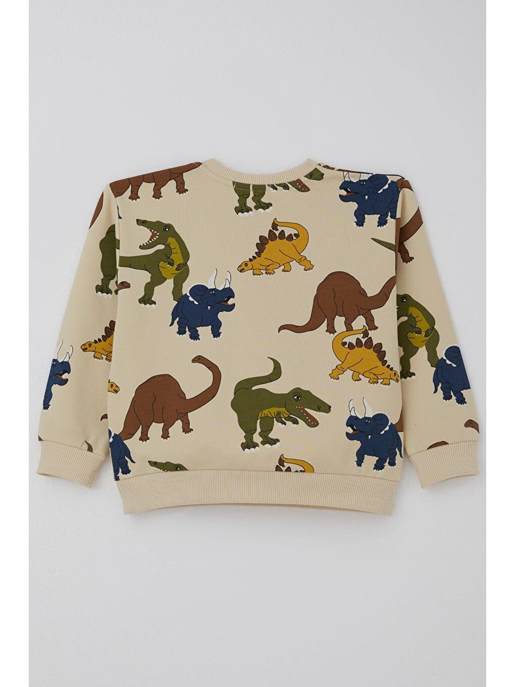 Ekru Erkek Çocuk Eşofman Takımı Kükreyen Dinozorlar Desenli Krem (2-4 Yaş)-5
