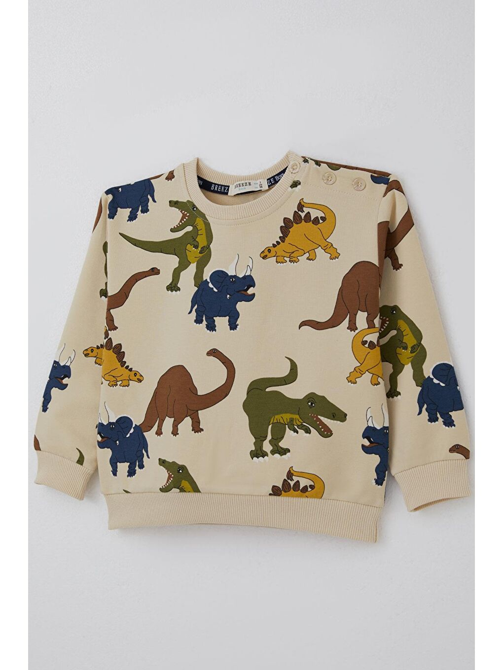 Ekru Erkek Çocuk Eşofman Takımı Kükreyen Dinozorlar Desenli Krem (2-4 Yaş)-7