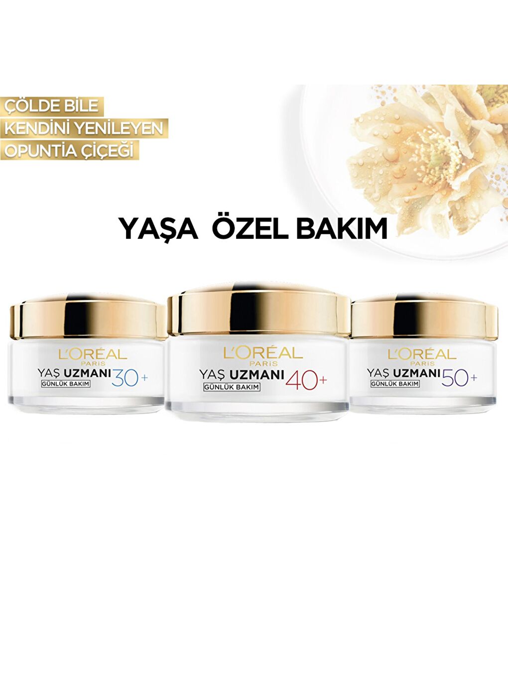 L'Oreal Paris Yaş Uzmanı 30+ İnce Çizgi Görünümünü Azaltan & Cilde Canlı Görünüm Veren, Kırşıklık Karşıtı Krem50ml - 6