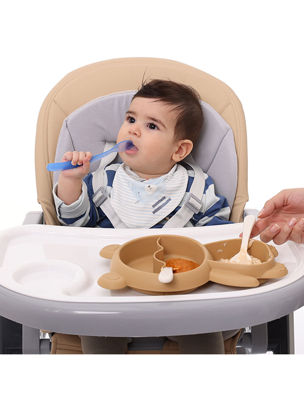 baby plus Karışık Ayı Tabak Seti - 1