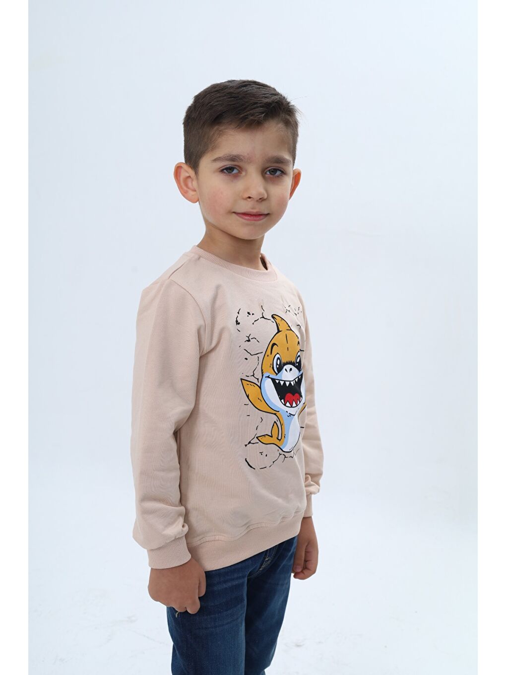 Bej Erkek Çocuk Çıtçıtlı Köpek Balığı Baskılı Sweatshirt-2