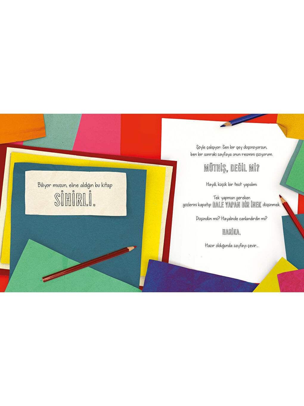 Sakın Kaplanı Düşünme-2