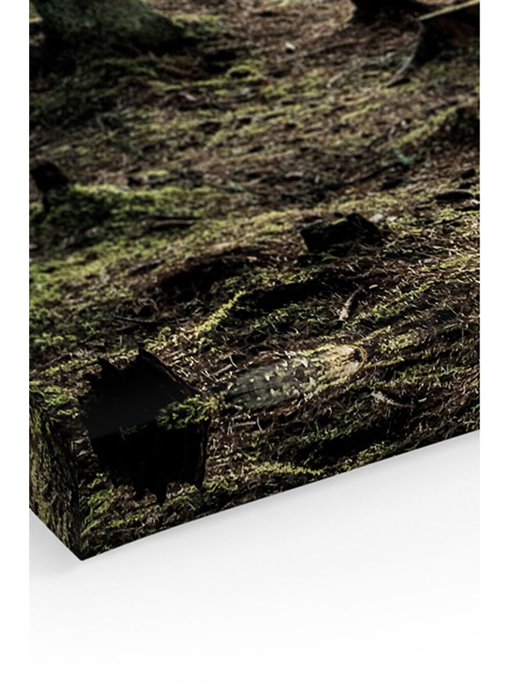 Beyaz Dekoratif Kanvas Duvar Tablo - ARTCANVAS51-70100-1