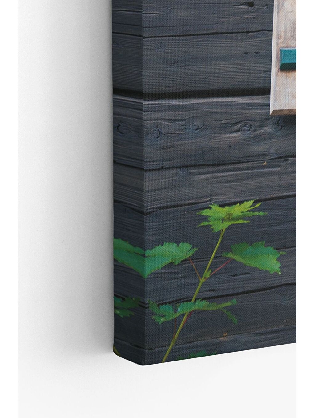 Beyaz Dekoratif Kanvas Tablo - FDC139 - ERSYFDC139-5070-3