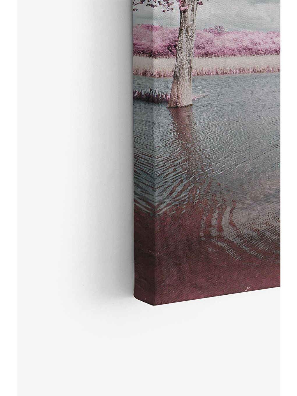 Beyaz Dekoratif Kanvas Tablo - FDC218 - ERSYFDC218-5070-3