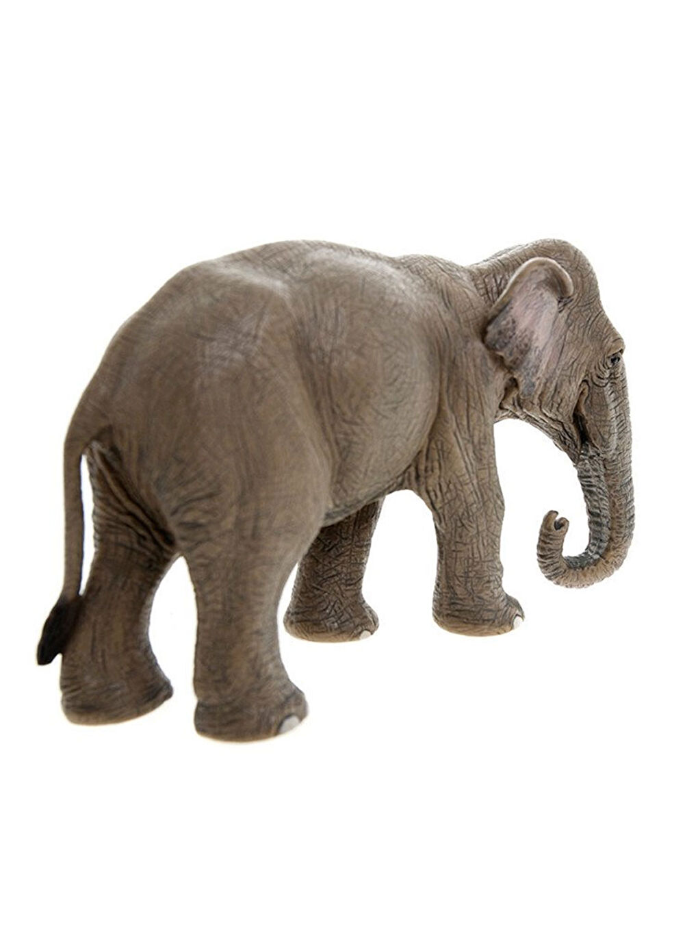 Schleich Renksiz Dişi Asya Fili 14753 - 4