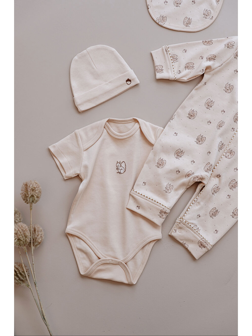 Bej Sincap Serisi 4lü Yenidoğan Set (0-3 Ay)-2