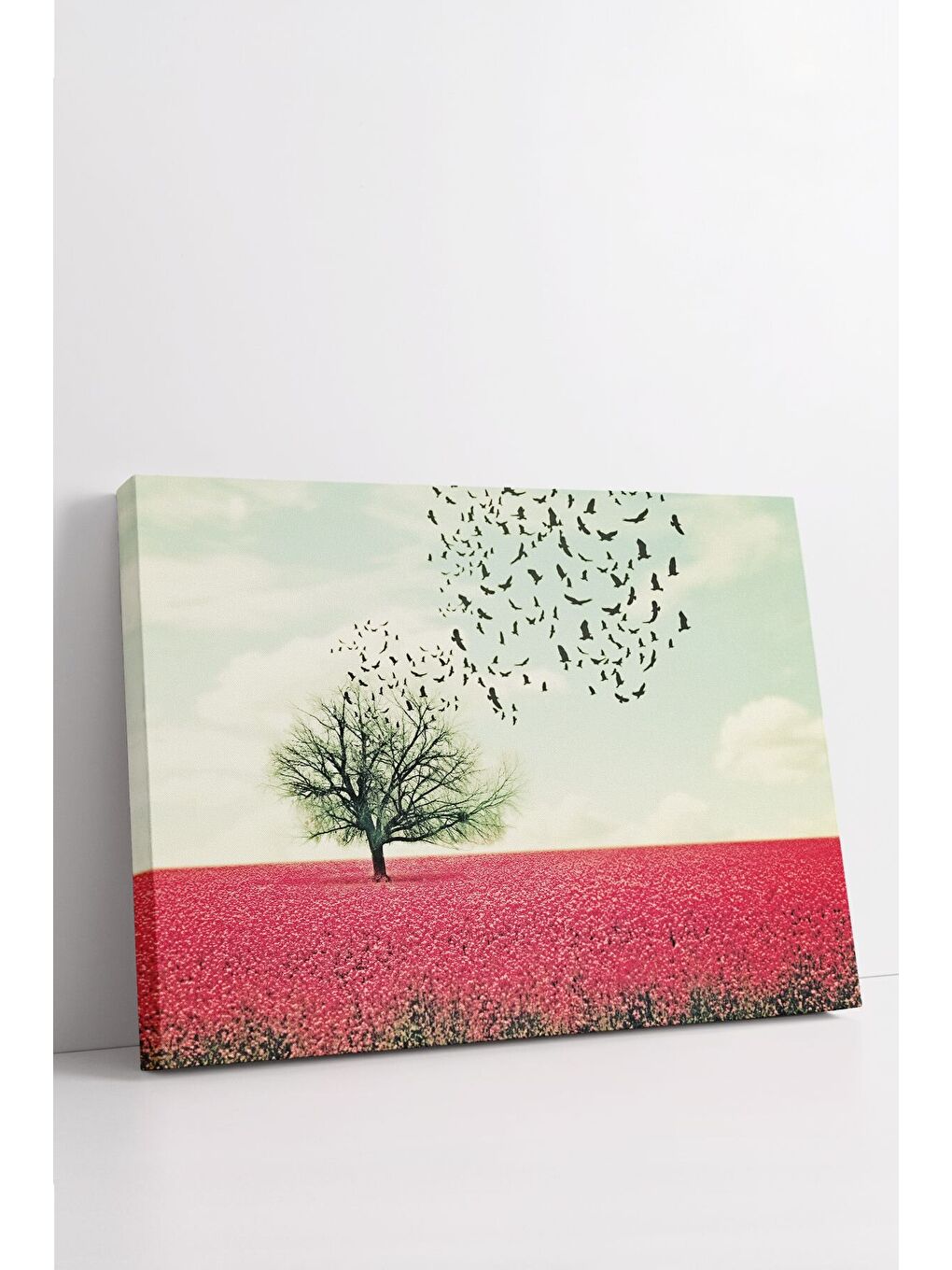 Beyaz Dekoratif Kanvas Tablo - FDC221 - ERSYFDC221-5070-2