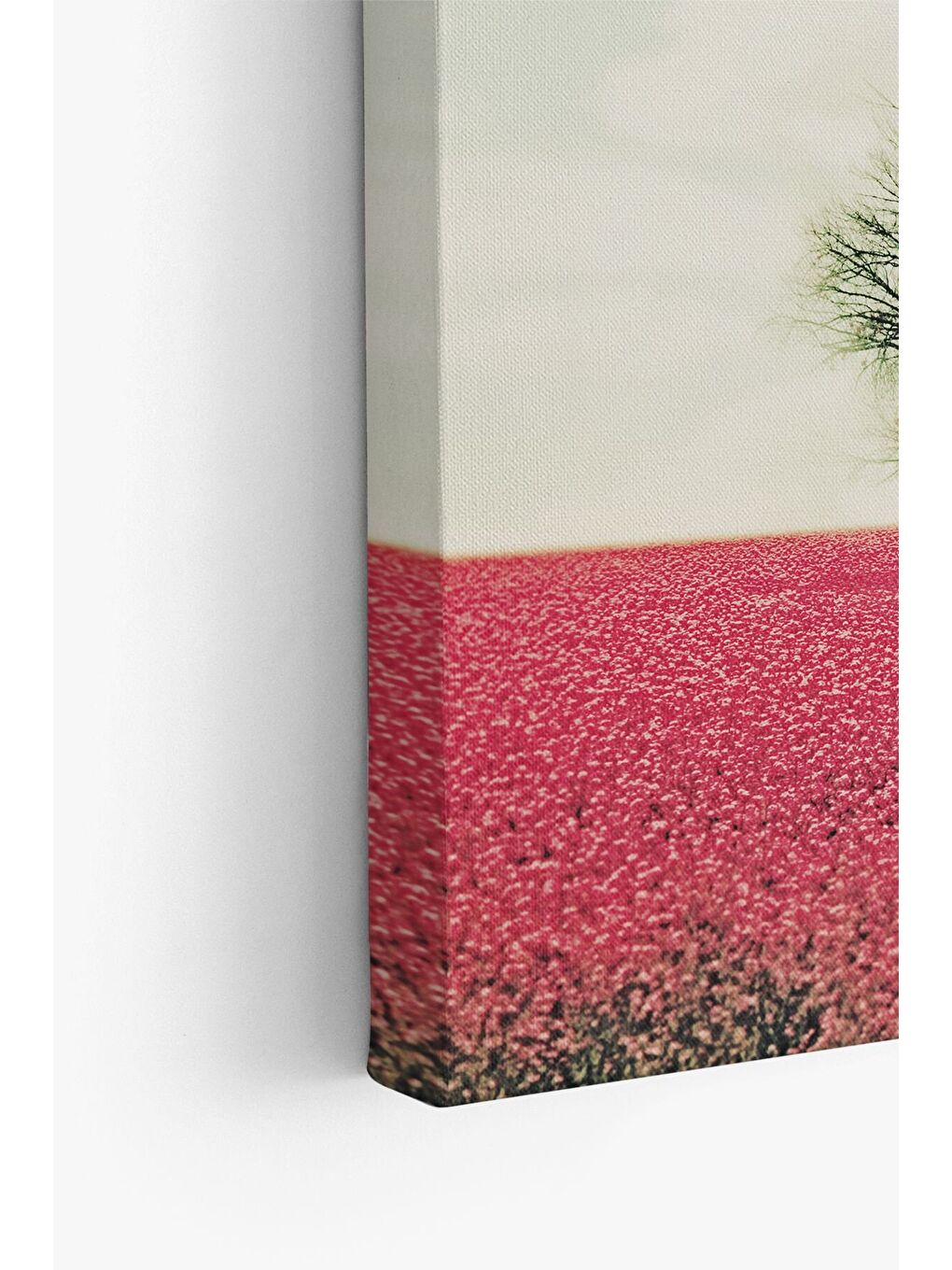 Beyaz Dekoratif Kanvas Tablo - FDC221 - ERSYFDC221-5070-3