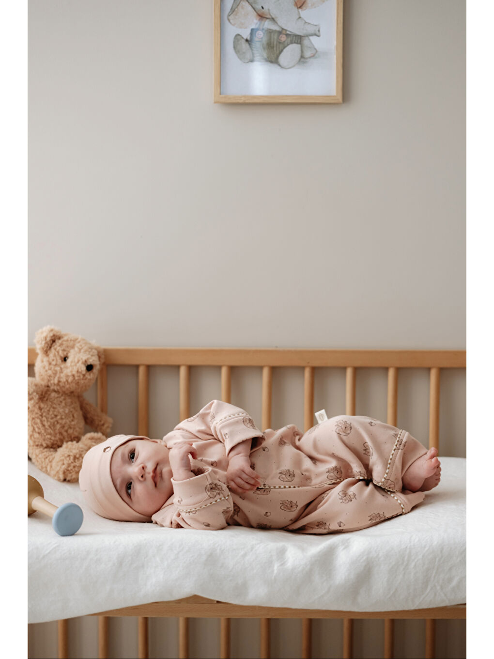 Pembe Somon Sincap Serisi 4lü Yenidoğan Set (0-3 Ay)-1