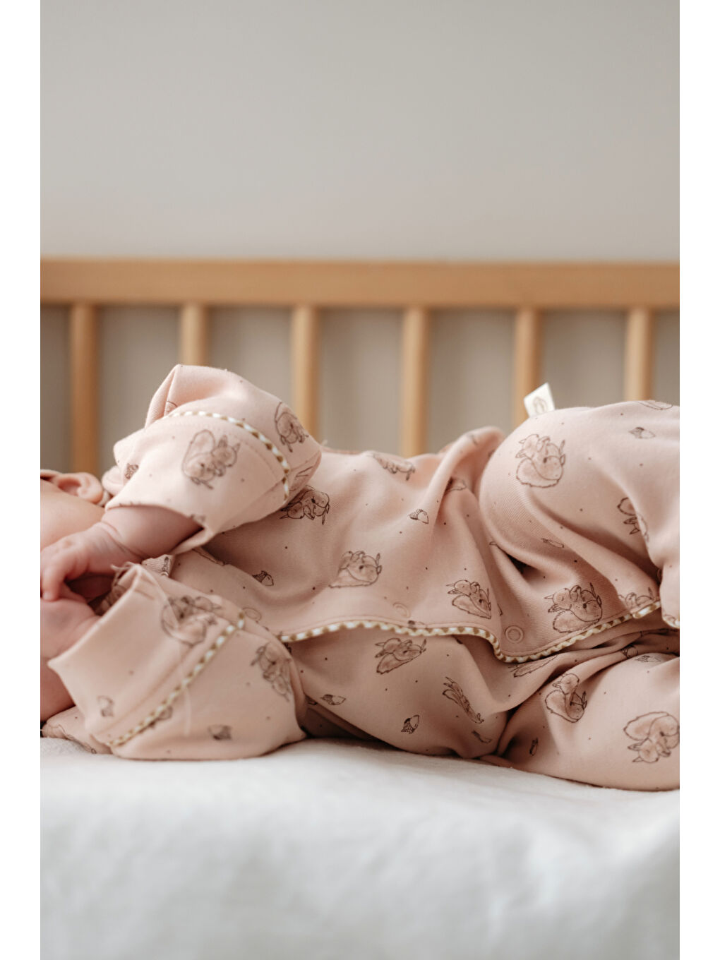 Pembe Somon Sincap Serisi 4lü Yenidoğan Set (0-3 Ay)-2