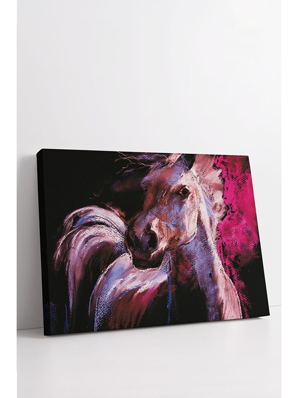 Beyaz Dekoratif Kanvas Tablo - FDC29 - ERSYFDC29-70100-2