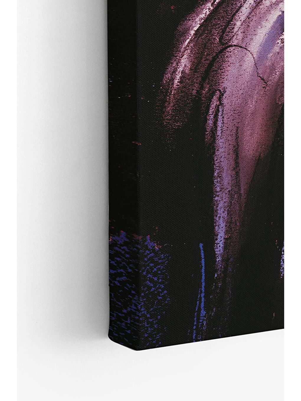 Beyaz Dekoratif Kanvas Tablo - FDC29 - ERSYFDC29-70100-3