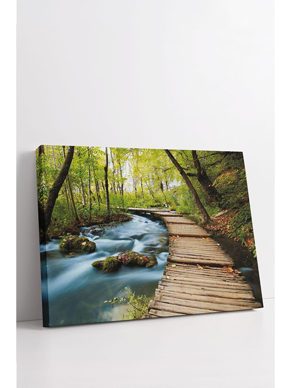 Beyaz Dekoratif Kanvas Tablo - FDC202 - ERSYFDC202-70100-2