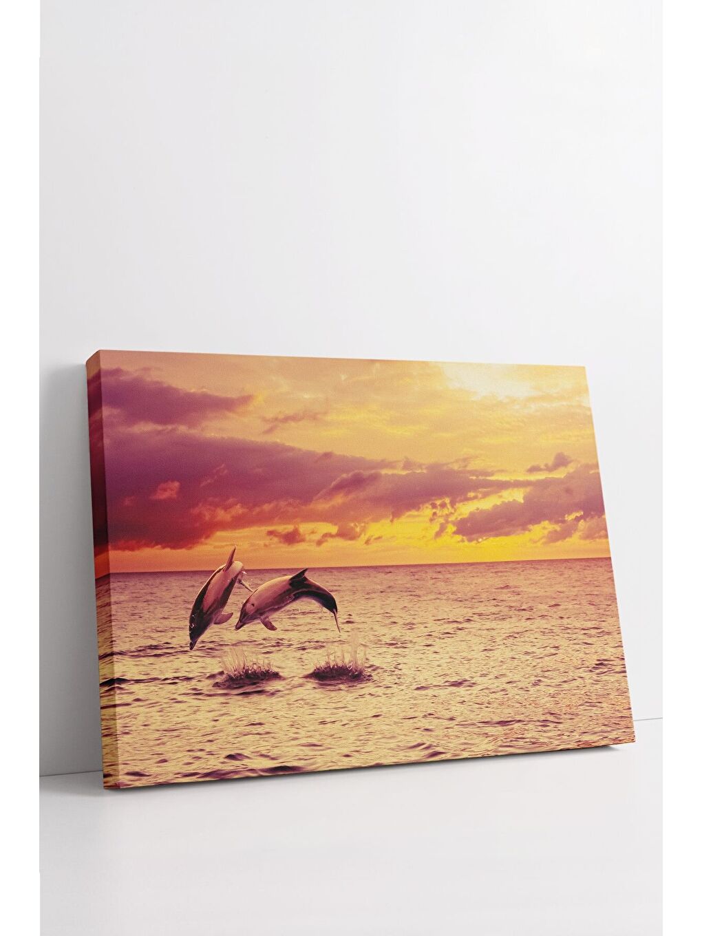 Beyaz Dekoratif Kanvas Tablo - FDC237 - ERSYFDC237-5070-2