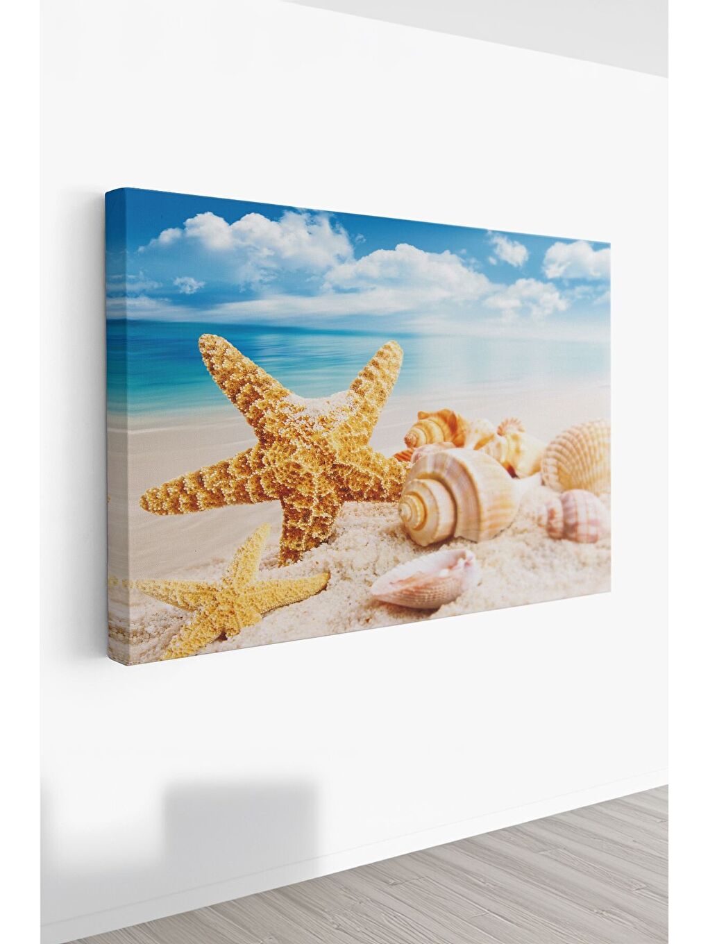 Beyaz Dekoratif Kanvas Tablo - FDC238 - ERSYFDC238-70100-1