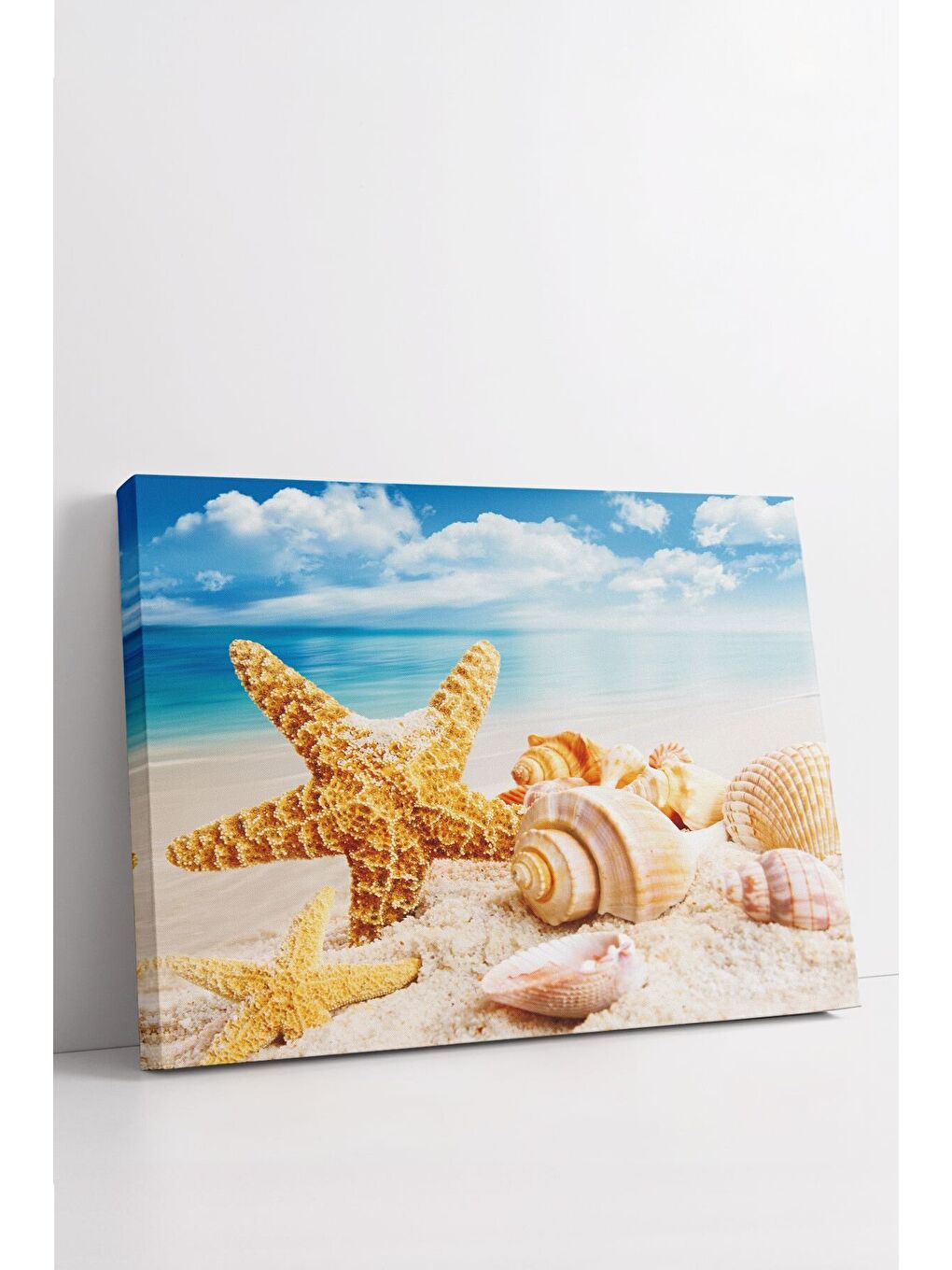 Beyaz Dekoratif Kanvas Tablo - FDC238 - ERSYFDC238-70100-2