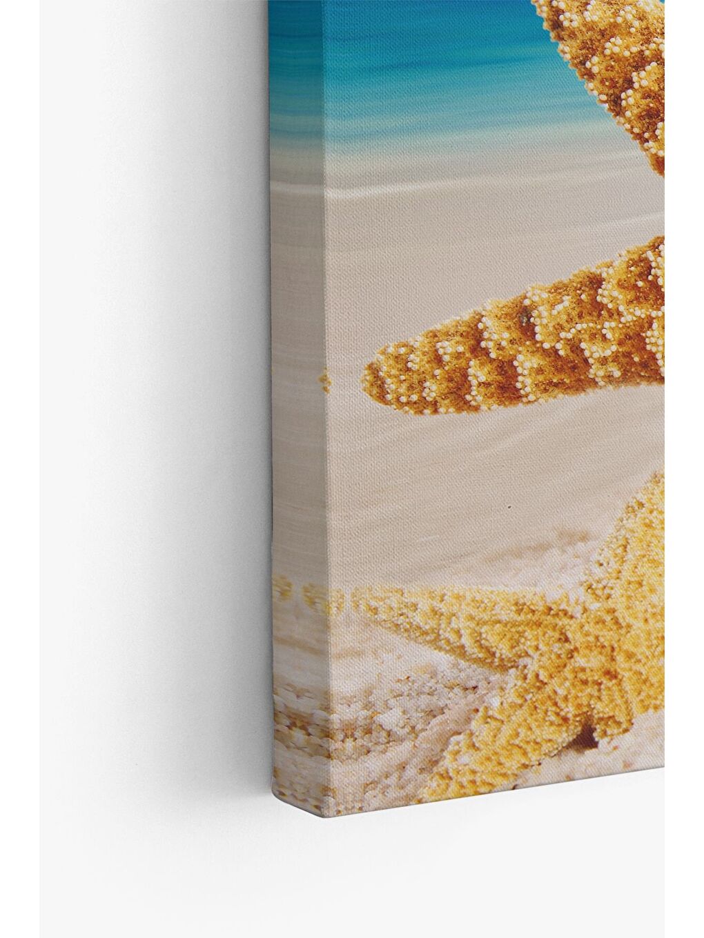 Beyaz Dekoratif Kanvas Tablo - FDC238 - ERSYFDC238-70100-3