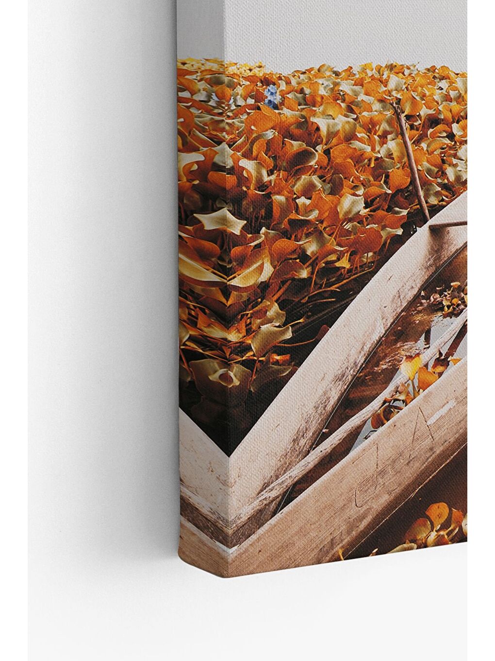 Beyaz Dekoratif Kanvas Tablo - FDC26 - ERSYFDC26-70100-3