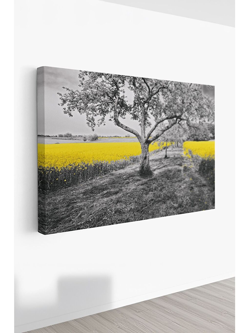 Beyaz Dekoratif Kanvas Tablo - FDC234 - ERSYFDC234-4060-1