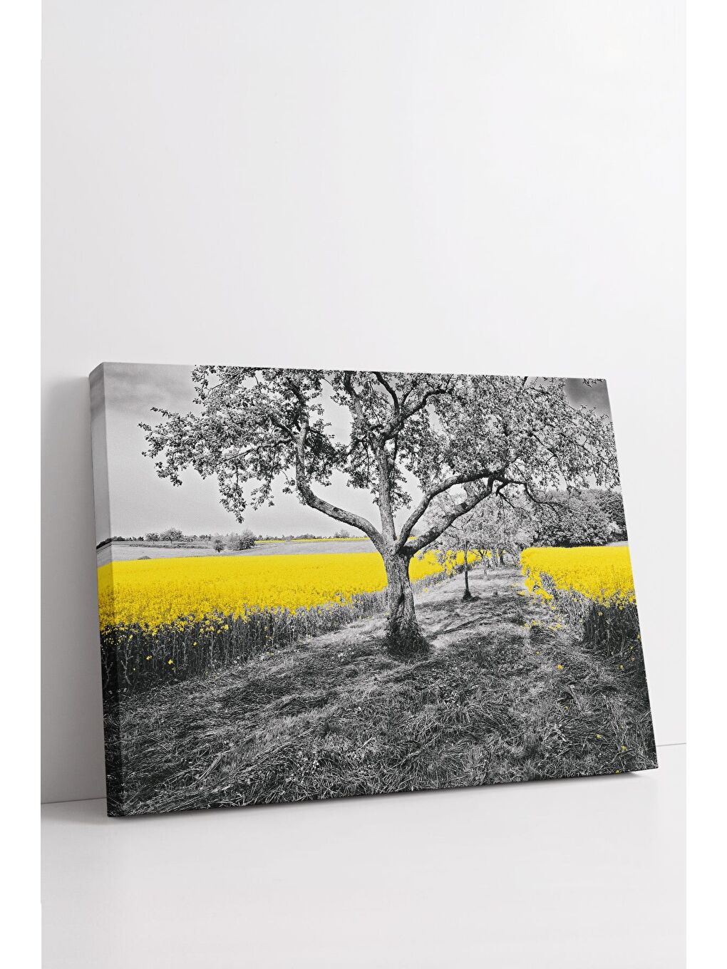 Beyaz Dekoratif Kanvas Tablo - FDC234 - ERSYFDC234-4060-2