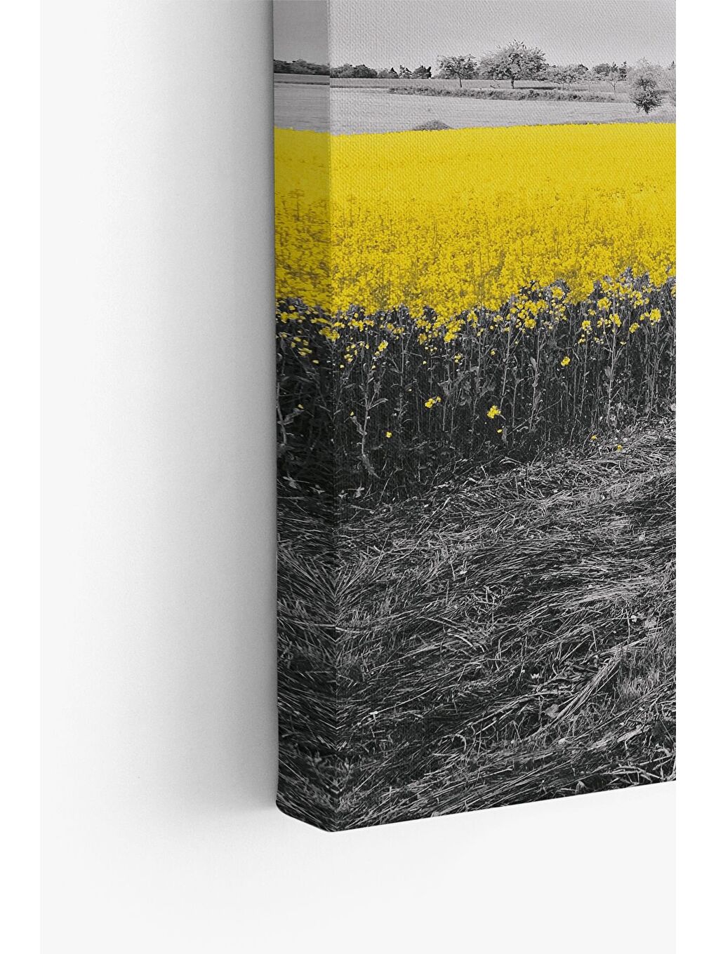 Beyaz Dekoratif Kanvas Tablo - FDC234 - ERSYFDC234-4060-3