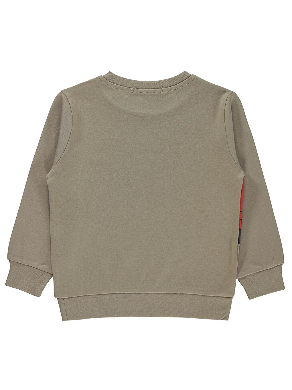 Boys Tili Rakun Ayı Baskılı 2-5 Yaş Sweatshirt - Bej-1